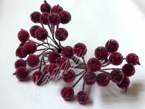 Калина цукрова БОРДОВА
